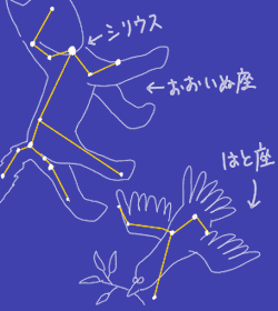 はと座